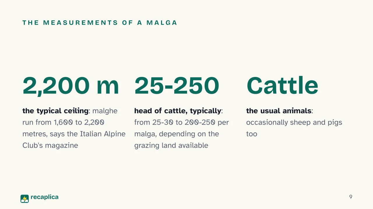 Slide 9 of the presentation on Alpine Pastures: The measurements of a malga
