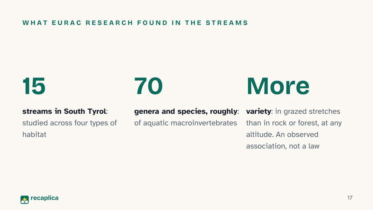 Slide 17 of the presentation on Alpine Pastures: What Eurac Research found in the streams