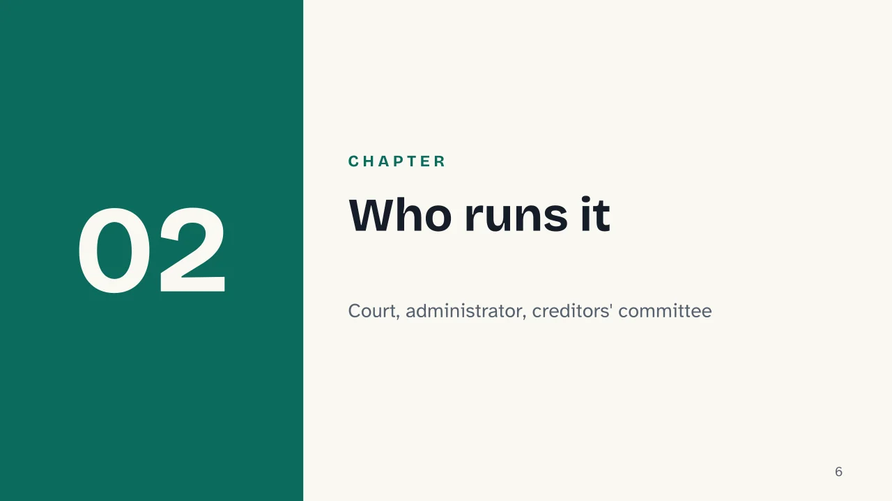 Slide 6 of the presentation on Company Liquidation: Chapter 02: Who runs it