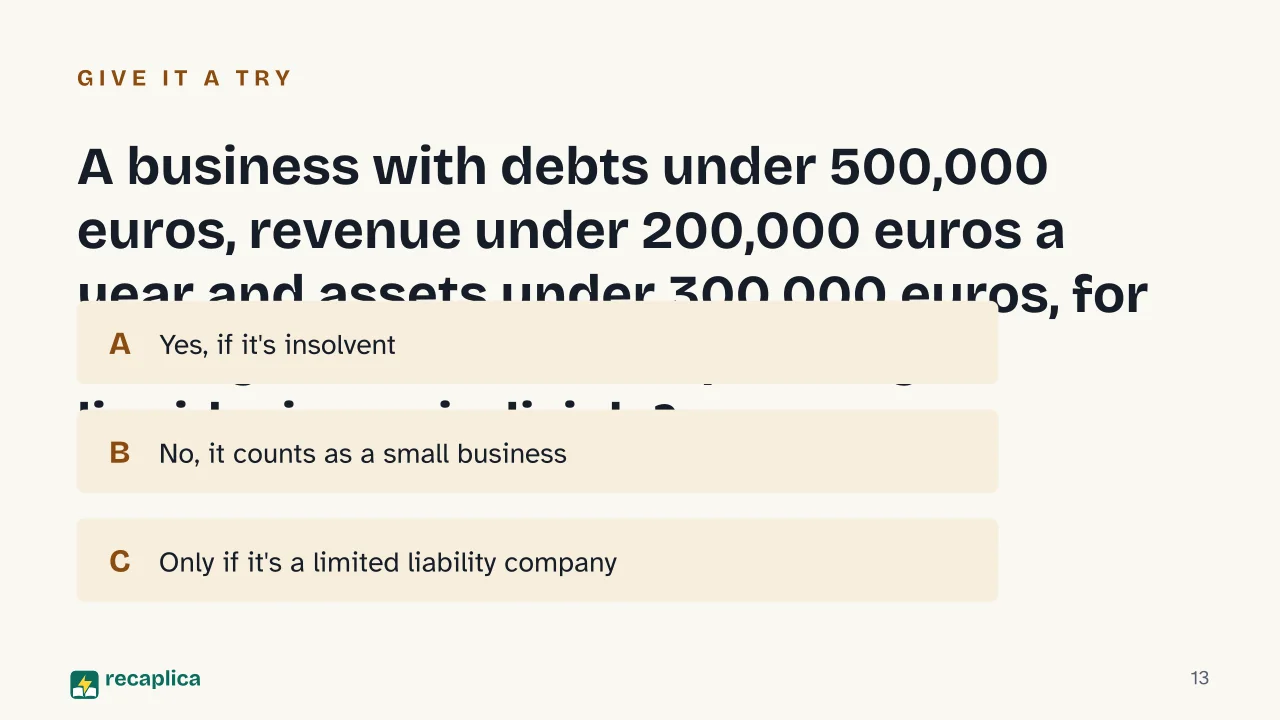 Slide 13 of the presentation on Company Liquidation: A business with debts under 500,000 euros, revenue under 200,000 euros a year and assets under 300,000 euros, for three years: can it end up in Italy's liquidazione giudiziale?