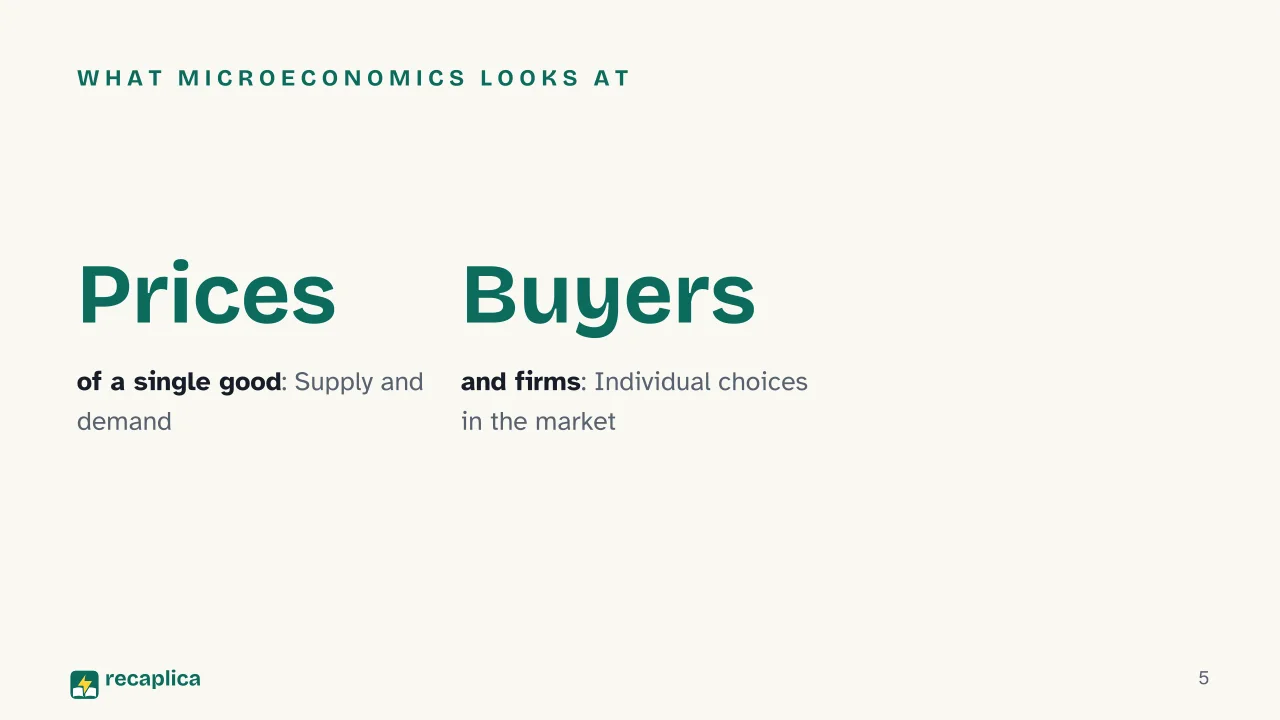 Slide 5 of the presentation on Microeconomics vs Macroeconomics: What microeconomics looks at