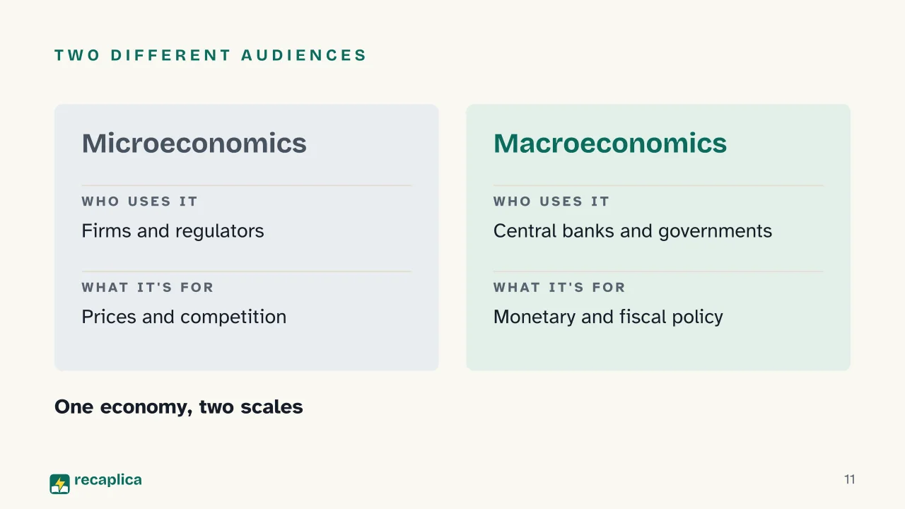 Slide 11 of the presentation on Microeconomics vs Macroeconomics: Two different audiences