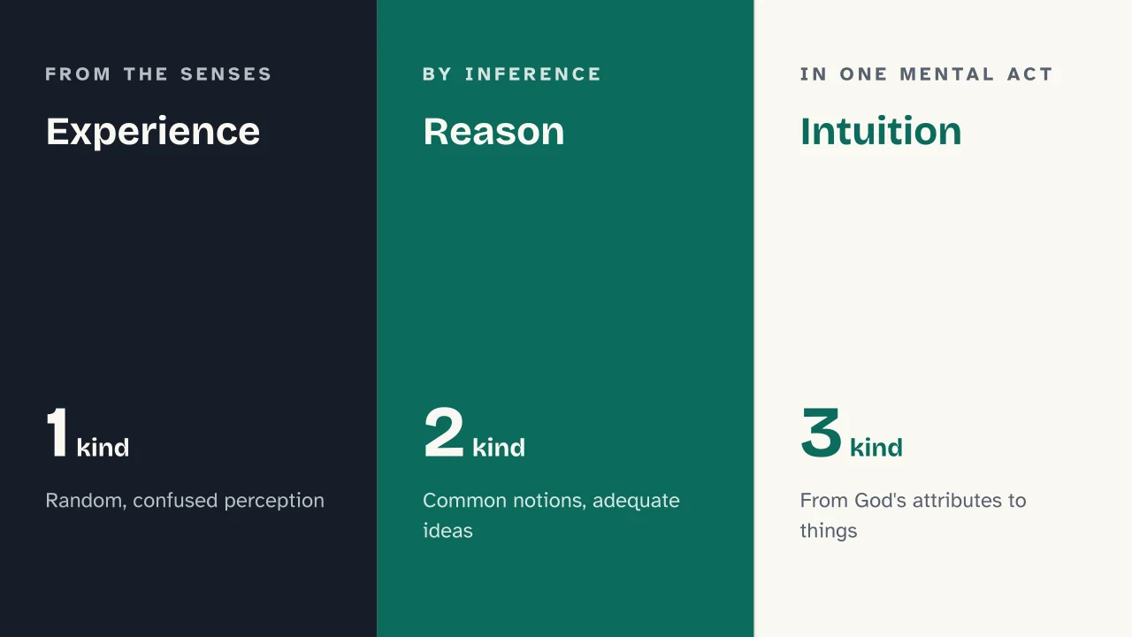 Slide 10 of the presentation on Spinoza: Experience · Reason · Intuition