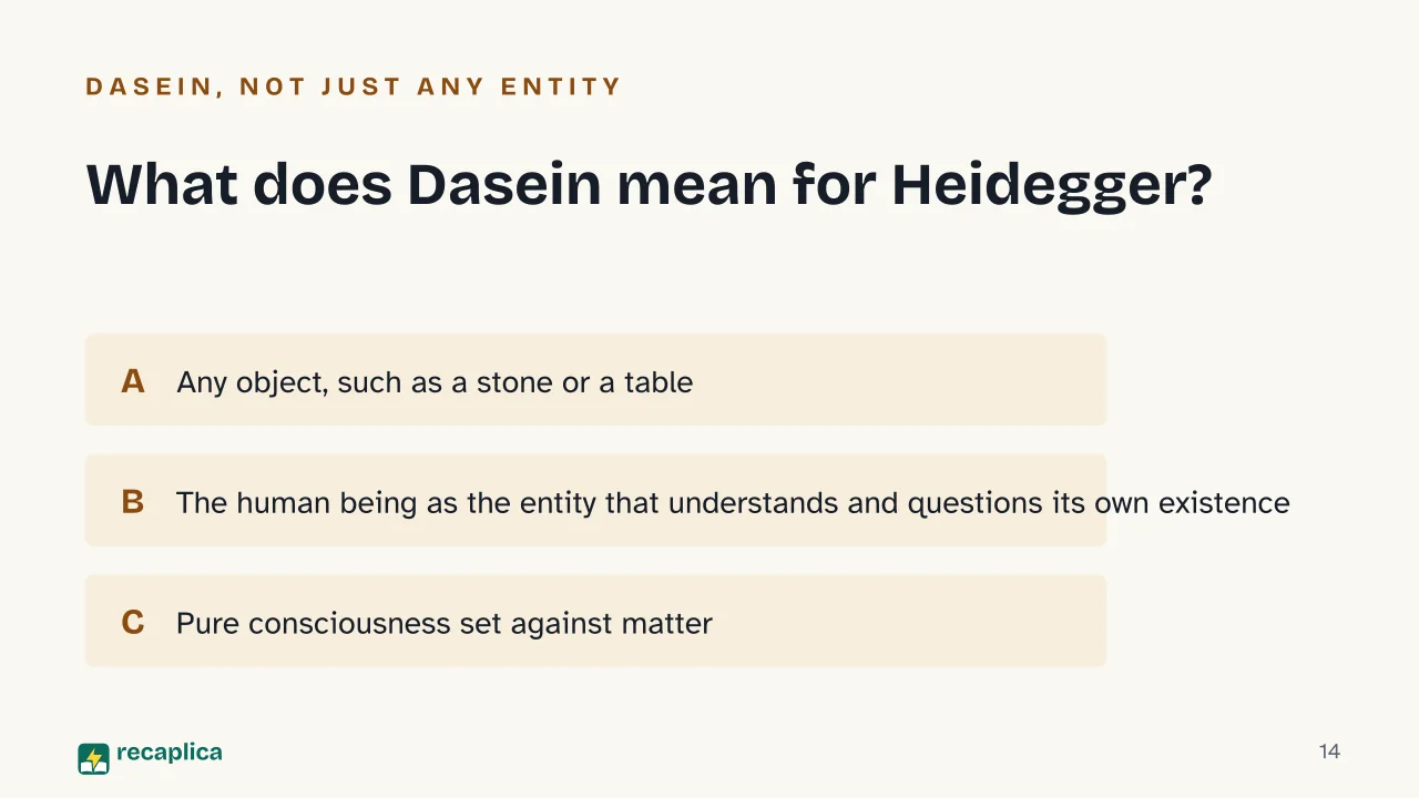 Slide 14 of the presentation on What Is Existentialism? Heidegger, Being and Time, and Dasein: What does Dasein mean for Heidegger?
