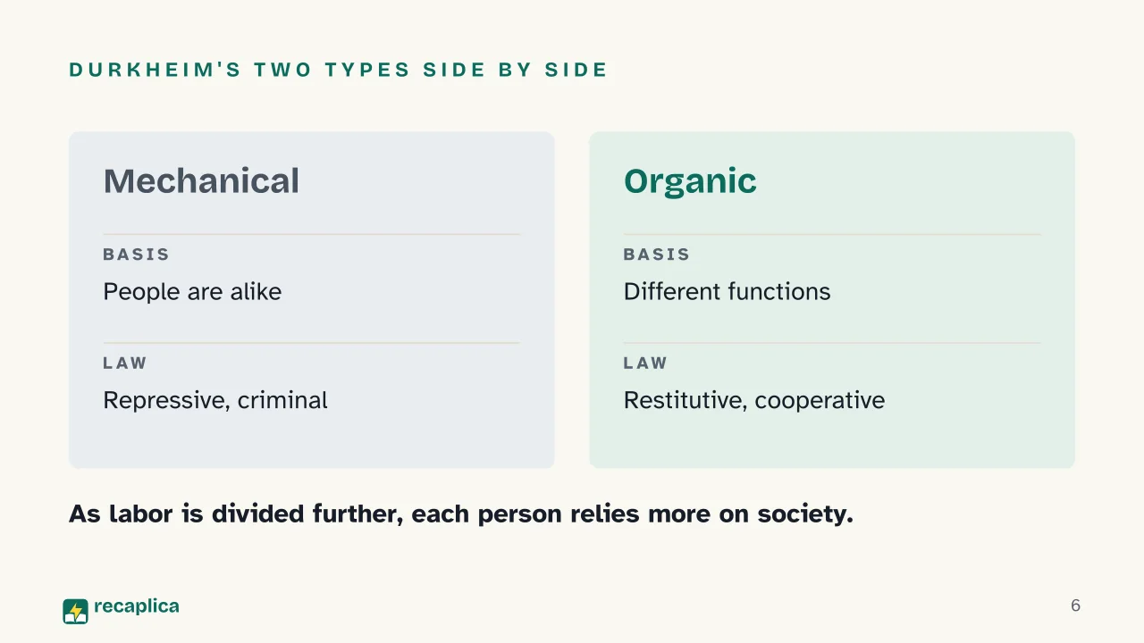 Slide 6 of the presentation on Mechanical and Organic Solidarity: Durkheim's two types side by side