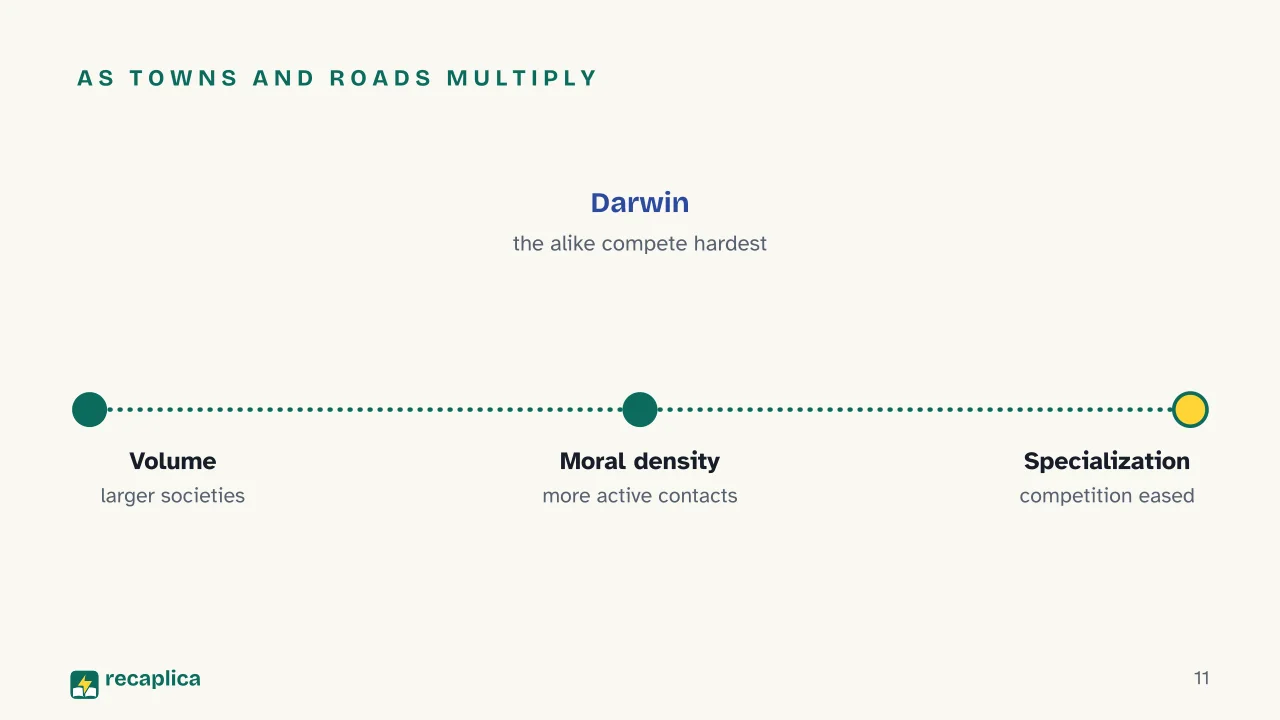 Slide 11 of the presentation on Mechanical and Organic Solidarity: As towns and roads multiply