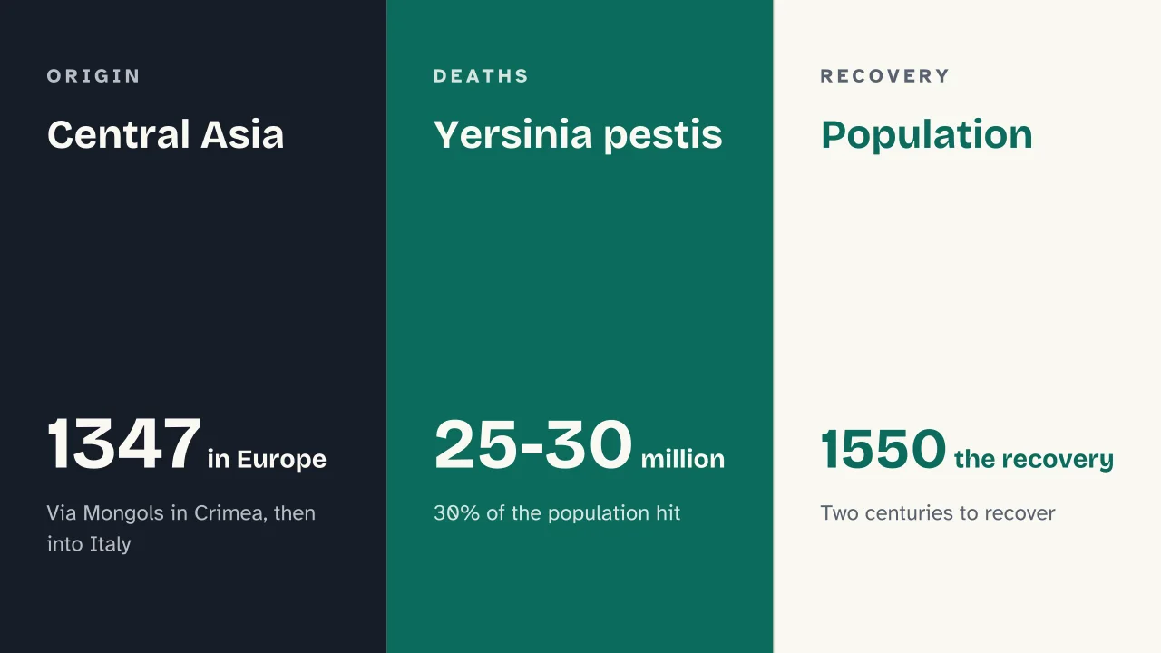 Slide 14 of the presentation on Middle Ages: Central Asia · Yersinia pestis · Population
