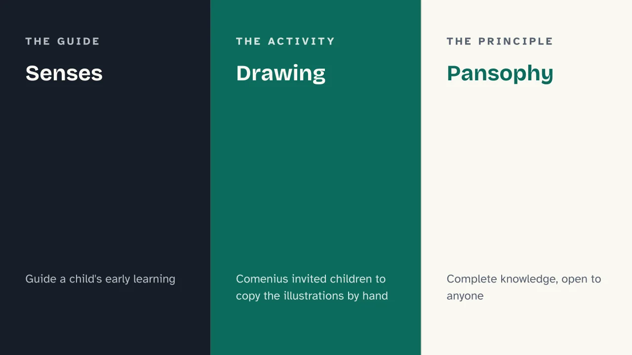 Slide 8 of the presentation on Orbis Pictus: Senses · Drawing · Pansophy