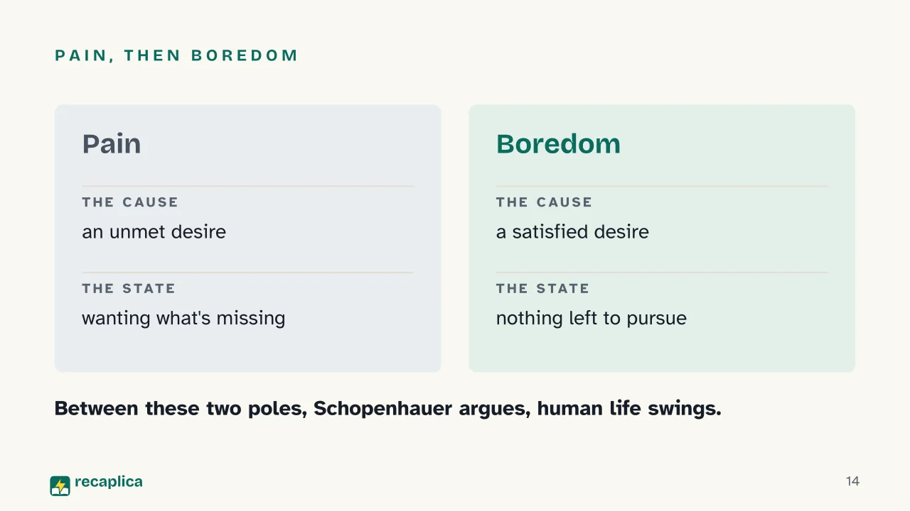 Slide 14 of the presentation on Parerga and Paralipomena: Pain, then boredom