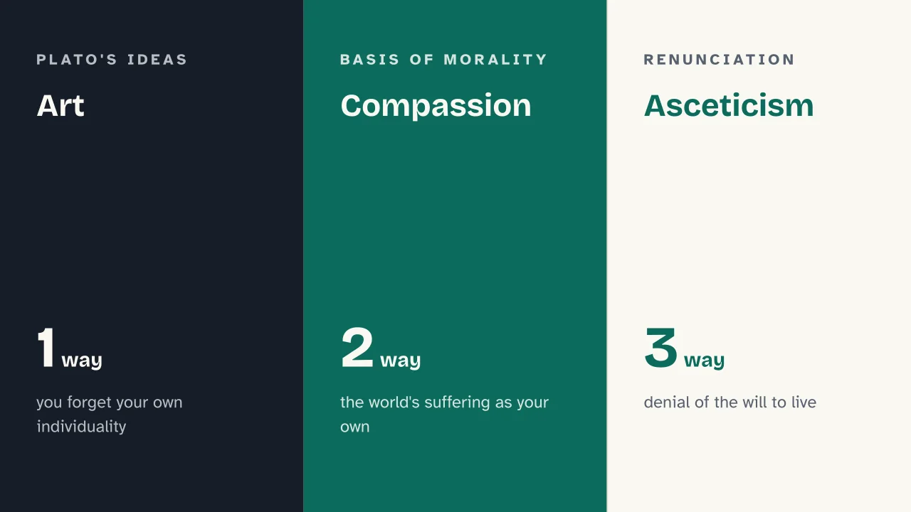 Slide 10 of the presentation on Schopenhauer: Art · Compassion · Asceticism