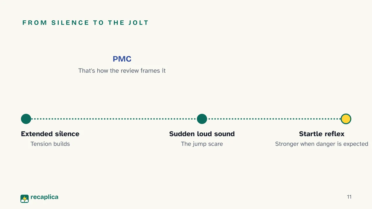 Slide 11 of the presentation on Horror Story Ideas: From silence to the jolt