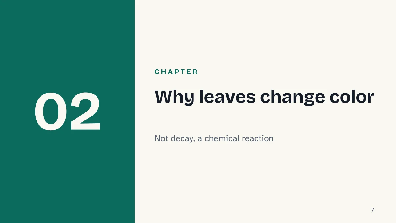 Slide 7 of the presentation on Autumn: Chapter 02: Why leaves change color