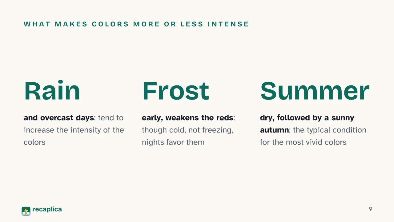 Slide 9 of the presentation on Autumn: What makes colors more or less intense