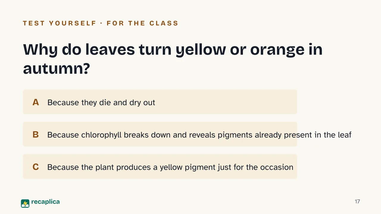 Slide 17 of the presentation on Autumn: Why do leaves turn yellow or orange in autumn?