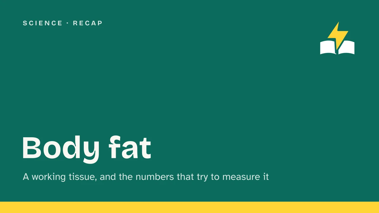 Slide 1 of the presentation on Body fat: Body fat