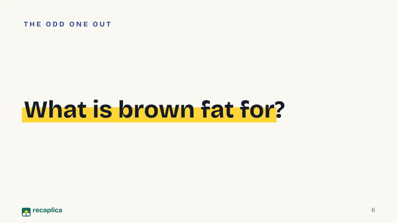 Slide 6 of the presentation on Body fat: What is brown fat for?
