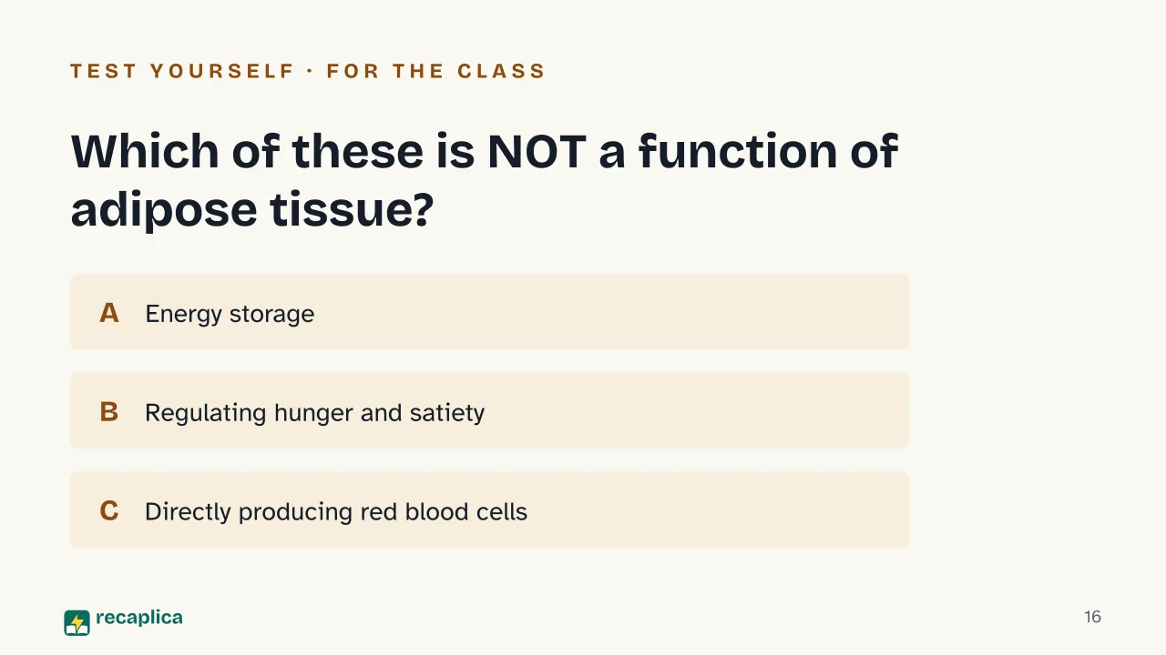 Slide 16 of the presentation on Body fat: Which of these is NOT a function of adipose tissue?