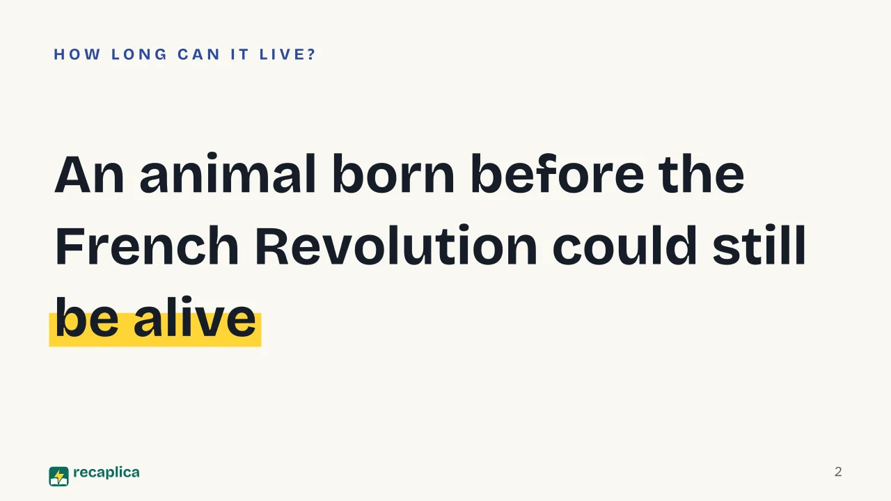 Slide 2 of the presentation on Bowhead Whale: An animal born before the French Revolution could still be alive