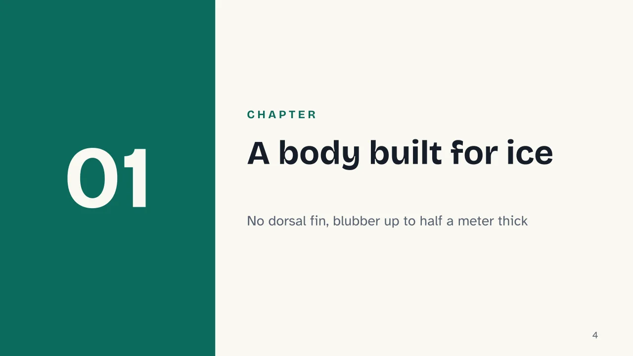 Slide 4 of the presentation on Bowhead Whale: Chapter 01: A body built for ice