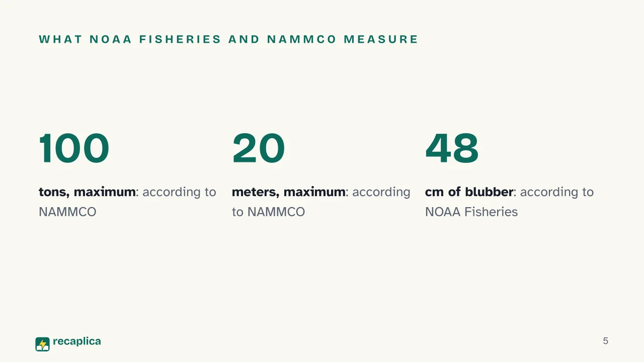 Slide 5 of the presentation on Bowhead Whale: What NOAA Fisheries and NAMMCO measure