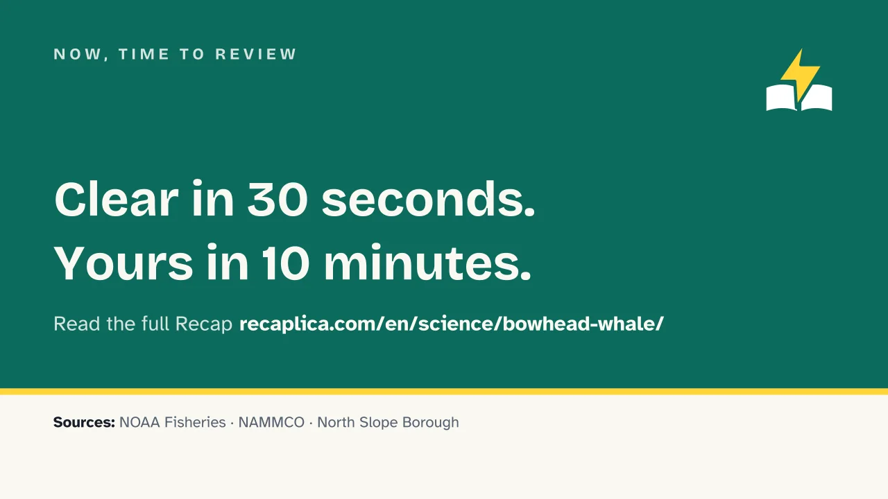 Slide 14 of the presentation on Bowhead Whale: Now, time to review