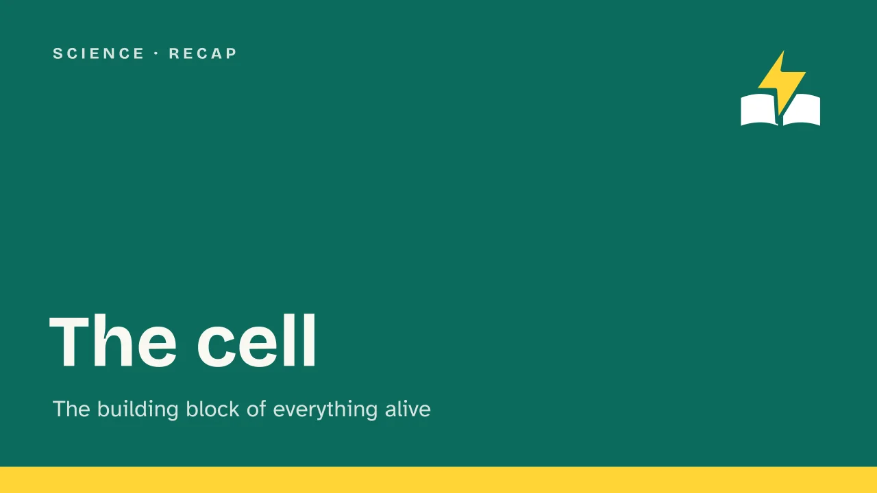 Slide 1 of the presentation on The cell: The cell