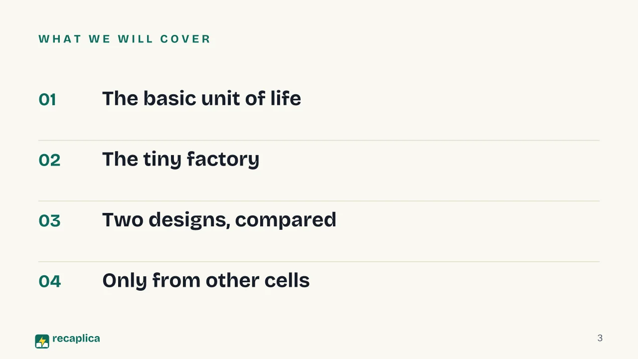 Slide 3 of the presentation on The cell: What we will cover