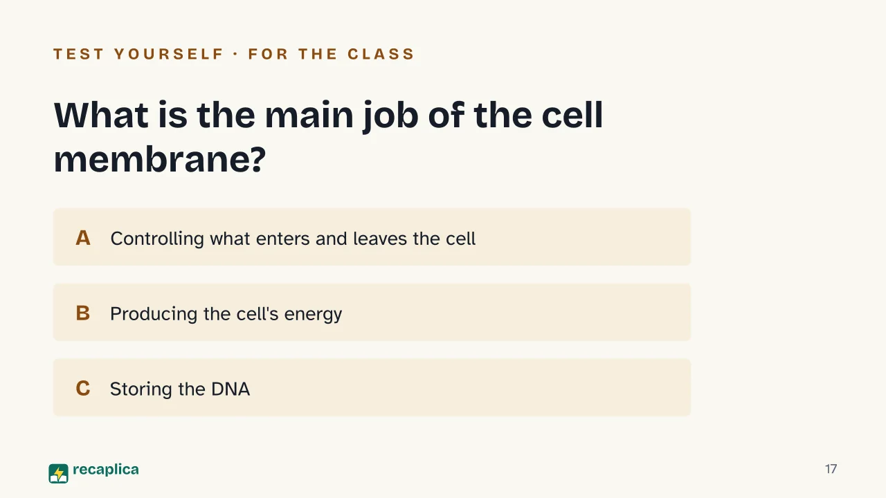 Slide 17 of the presentation on The cell: What is the main job of the cell membrane?