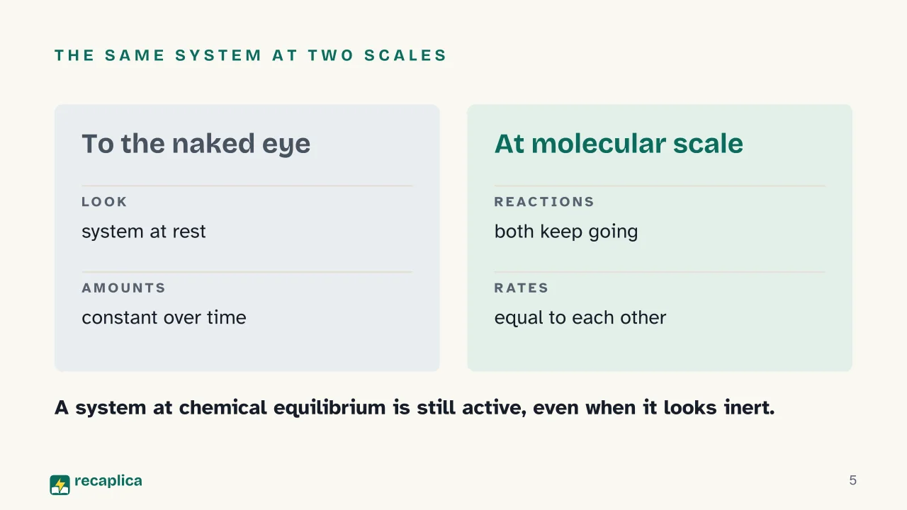 Slide 5 of the presentation on Chemical Equilibrium: The same system at two scales