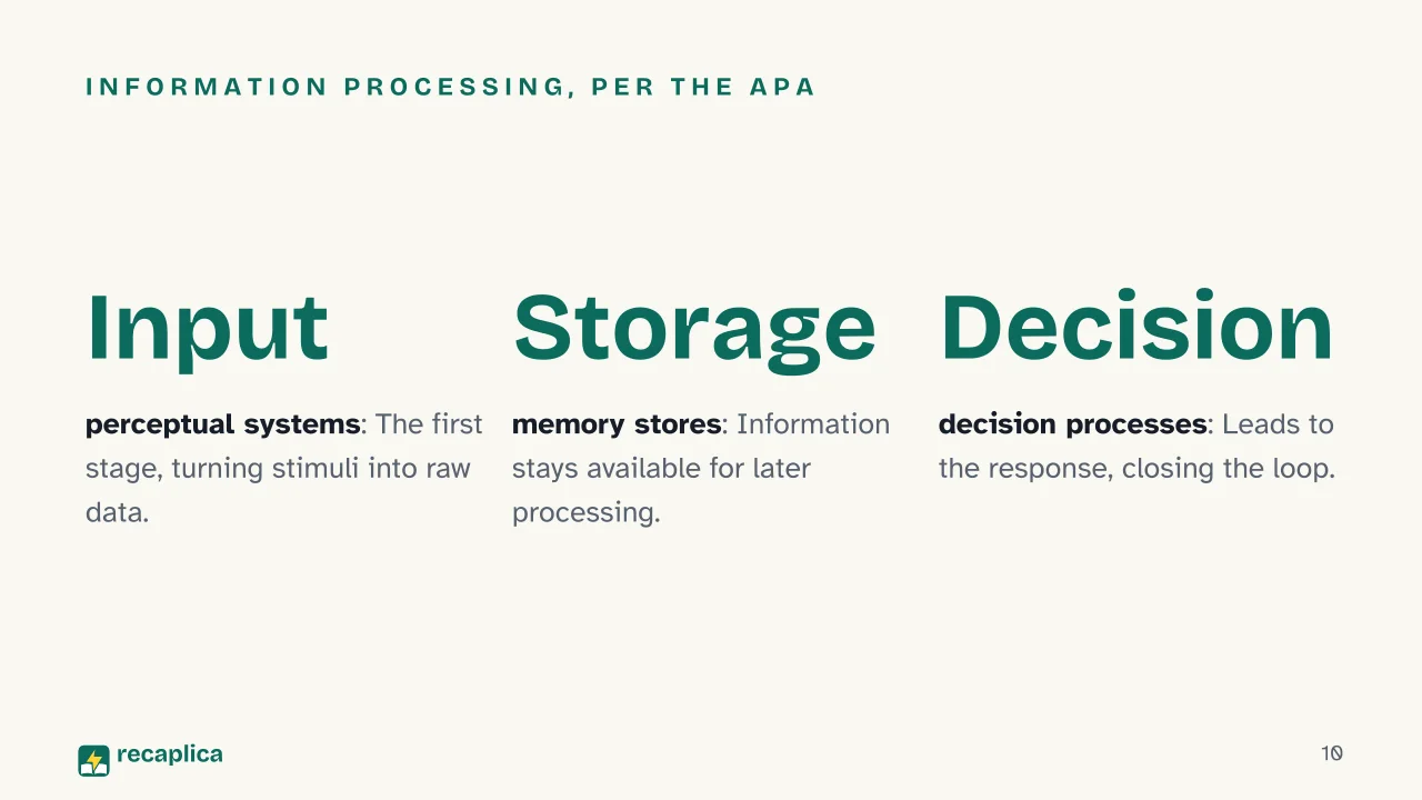 Slide 10 of the presentation on Cognitivism: Information processing, per the APA