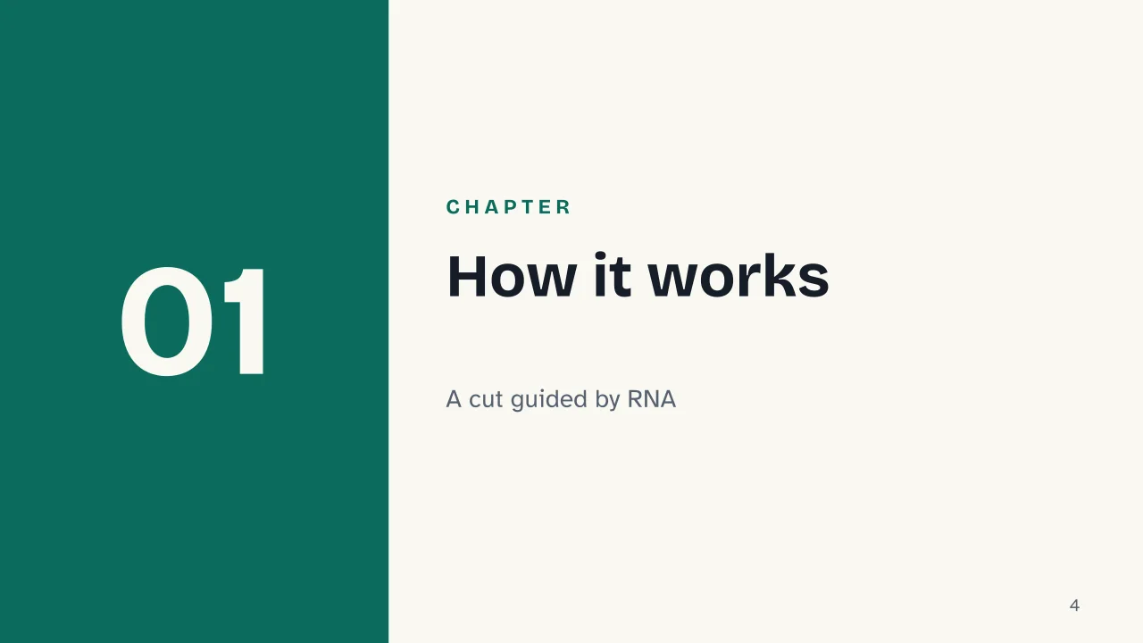 Slide 4 of the presentation on CRISPR: Chapter 01: How it works