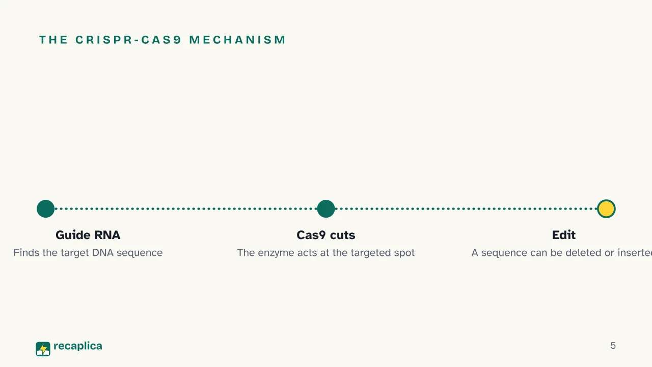 Slide 5 of the presentation on CRISPR: The CRISPR-Cas9 mechanism
