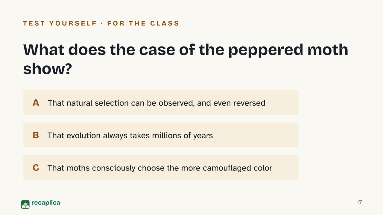 Slide 17 of the presentation on Darwin's Theory of Evolution: What does the case of the peppered moth show?