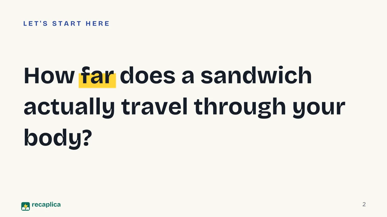 Slide 2 of the presentation on Digestive System: How far does a sandwich actually travel through your body?