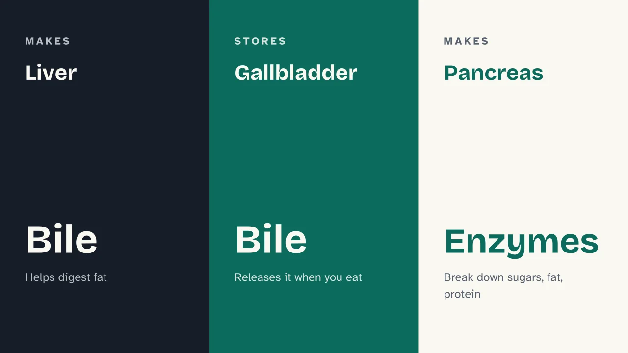 Slide 9 of the presentation on Digestive System: Liver · Gallbladder · Pancreas
