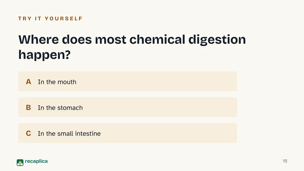 Slide 15 of the presentation on Digestive System: Where does most chemical digestion happen?