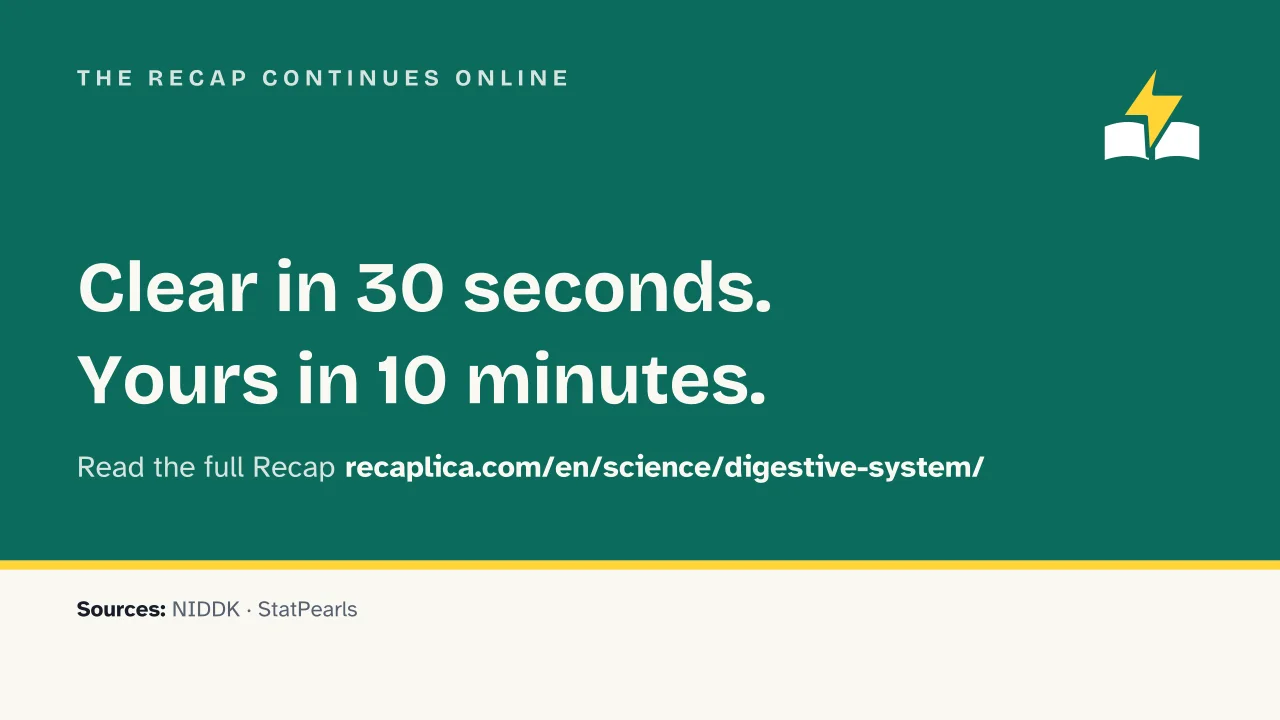 Slide 16 of the presentation on Digestive System: The Recap continues online