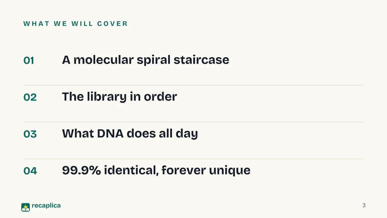 Slide 3 of the presentation on DNA: What we will cover