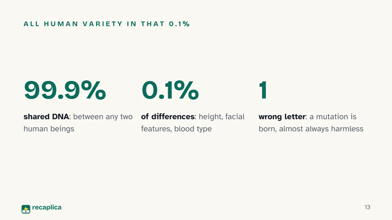 Slide 13 of the presentation on DNA: All human variety in that 0.1%
