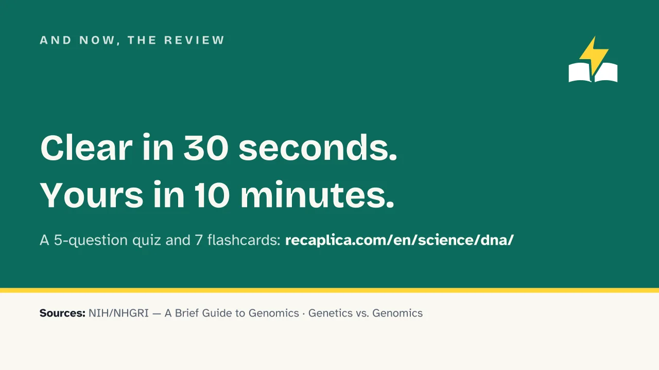 Slide 16 of the presentation on DNA: And now, the review