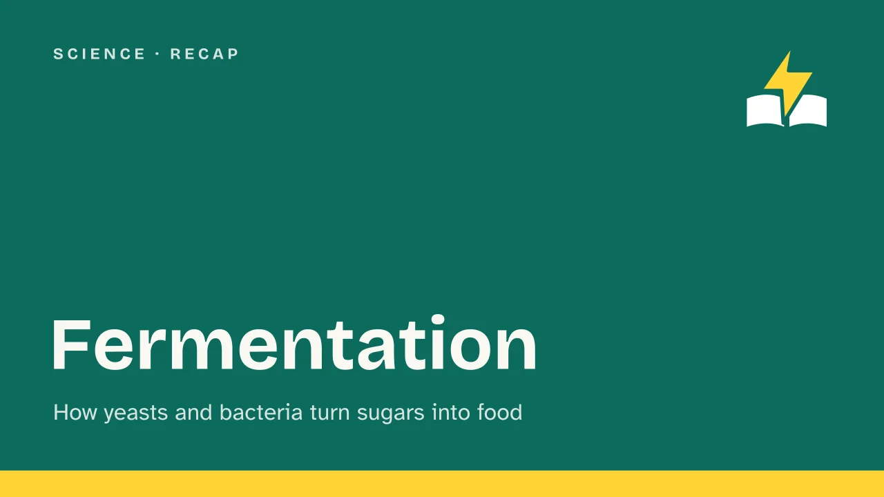 Slide 1 of the presentation on Fermentation: Fermentation