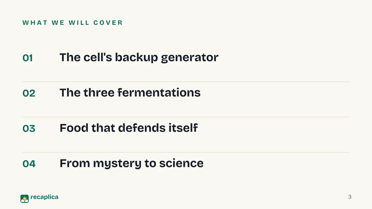 Slide 3 of the presentation on Fermentation: What we will cover