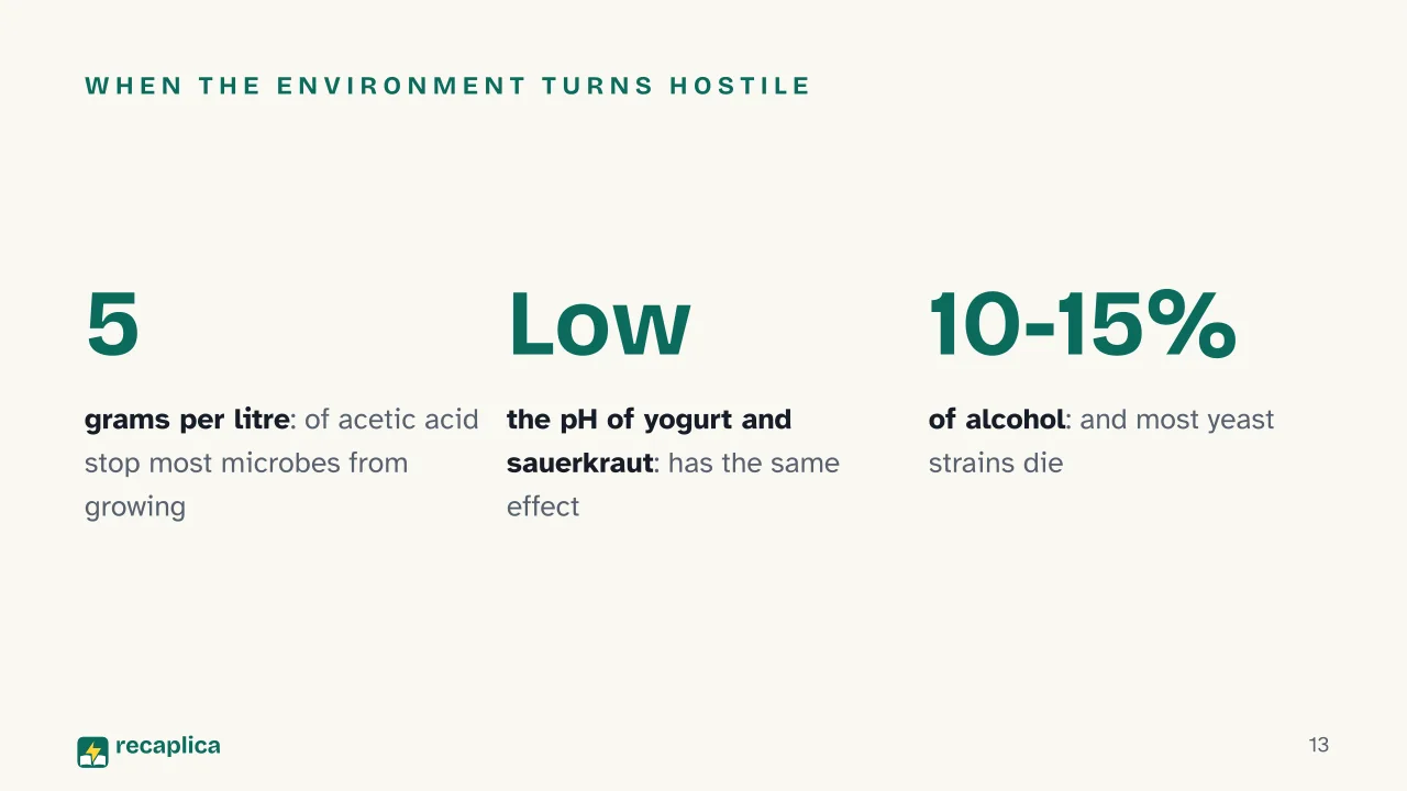 Slide 13 of the presentation on Fermentation: When the environment turns hostile