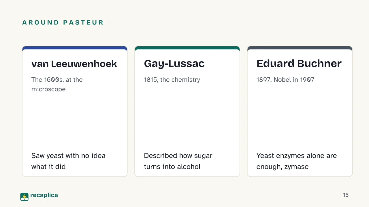 Slide 16 of the presentation on Fermentation: Around Pasteur: van Leeuwenhoek, Gay-Lussac, Eduard Buchner