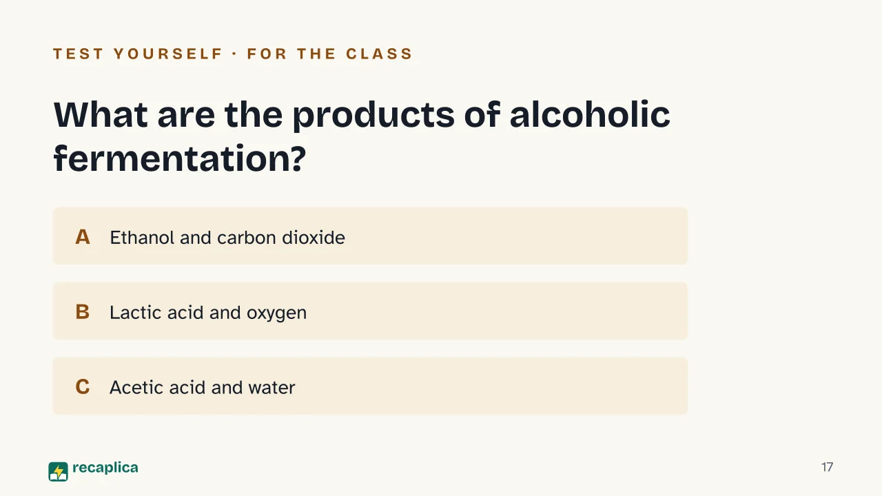 Slide 17 of the presentation on Fermentation: What are the products of alcoholic fermentation?