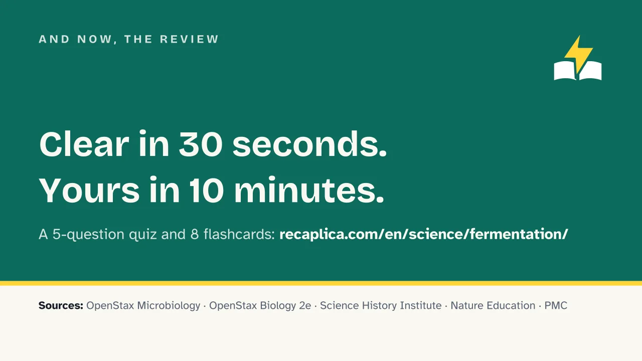Slide 18 of the presentation on Fermentation: And now, the review