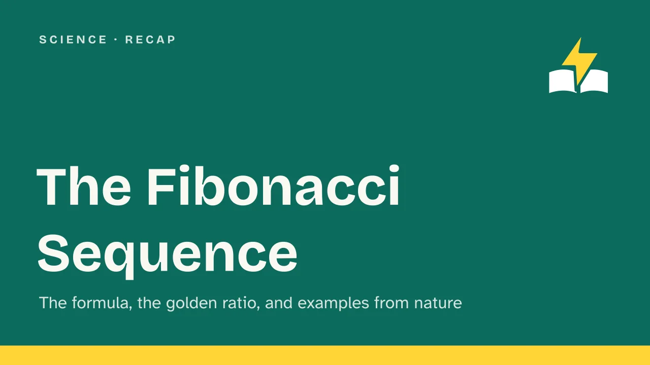 Slide 1 of the presentation on What Is the Fibonacci Sequence? The Formula and Where It Appears in Nature: The Fibonacci Sequence
