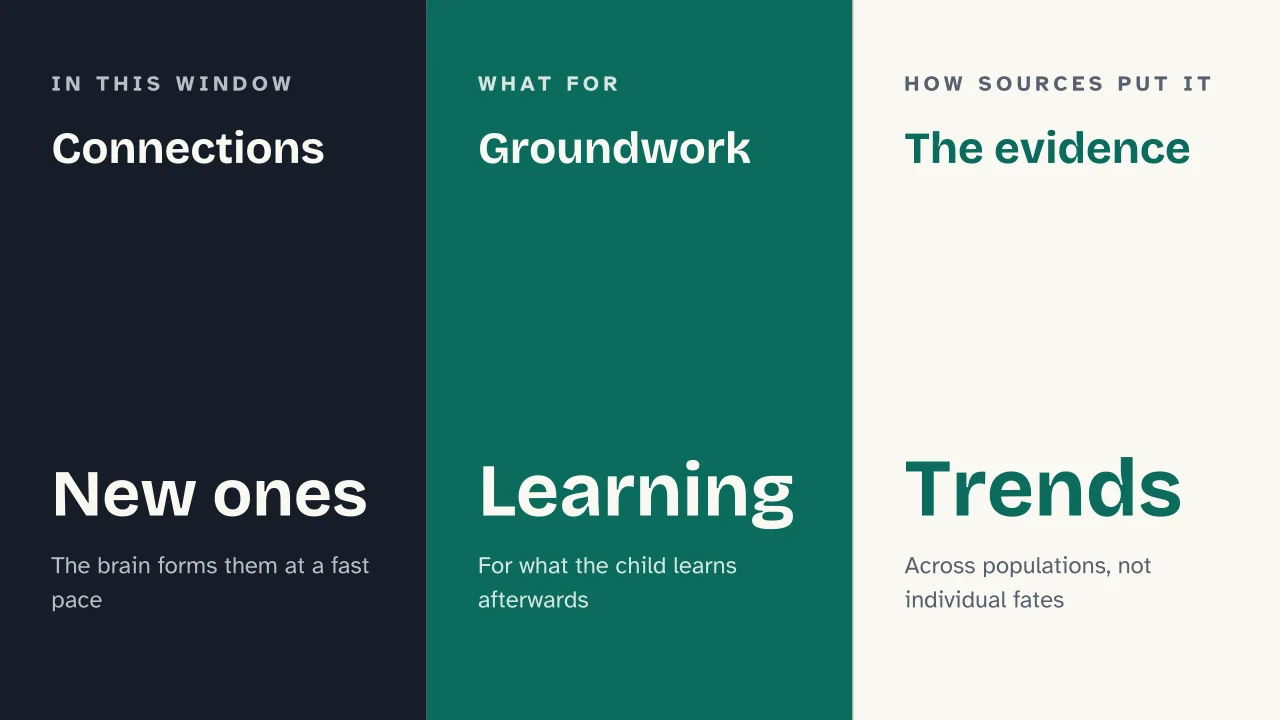 Slide 8 of the presentation on The First 1000 Days of Life: Connections · Groundwork · The evidence