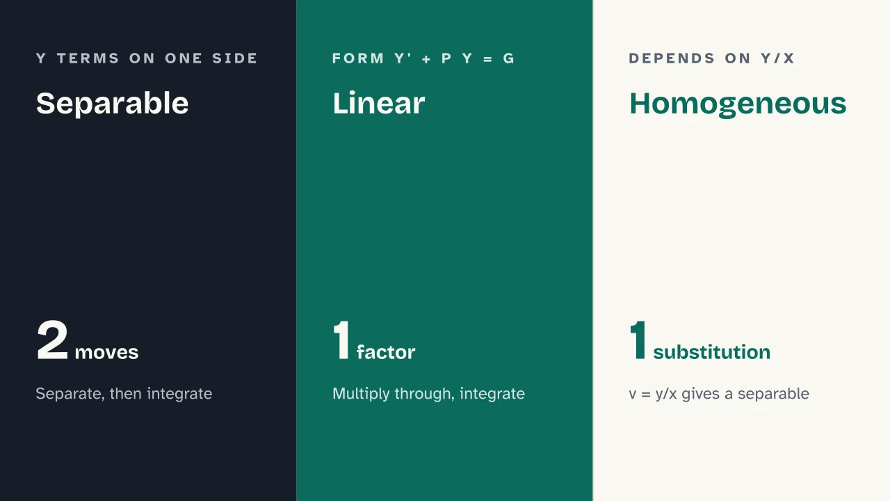 Slide 5 of the presentation on First order differential equations: Separable · Linear · Homogeneous