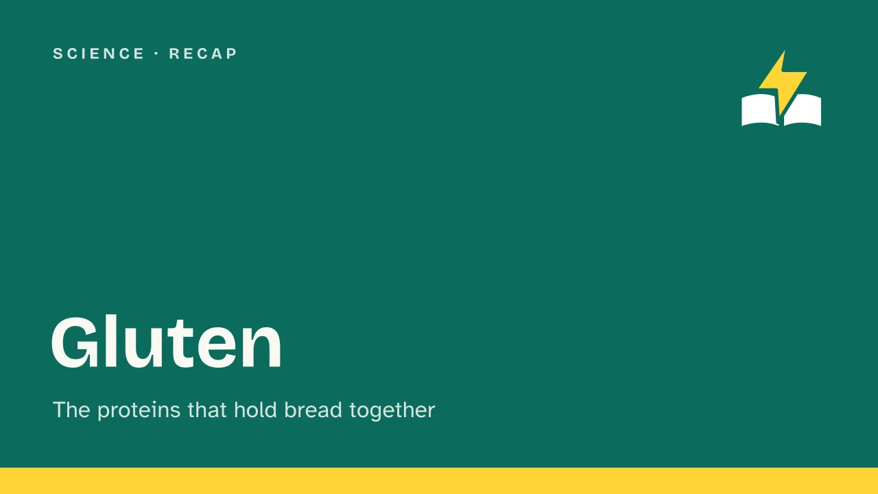 Slide 1 of the presentation on Gluten: Gluten